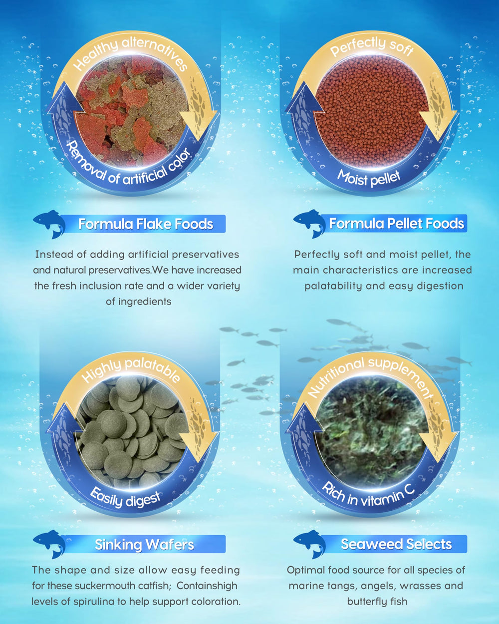 Ocean Nutrition aquarium récifal avec poissons actifs après alimentation