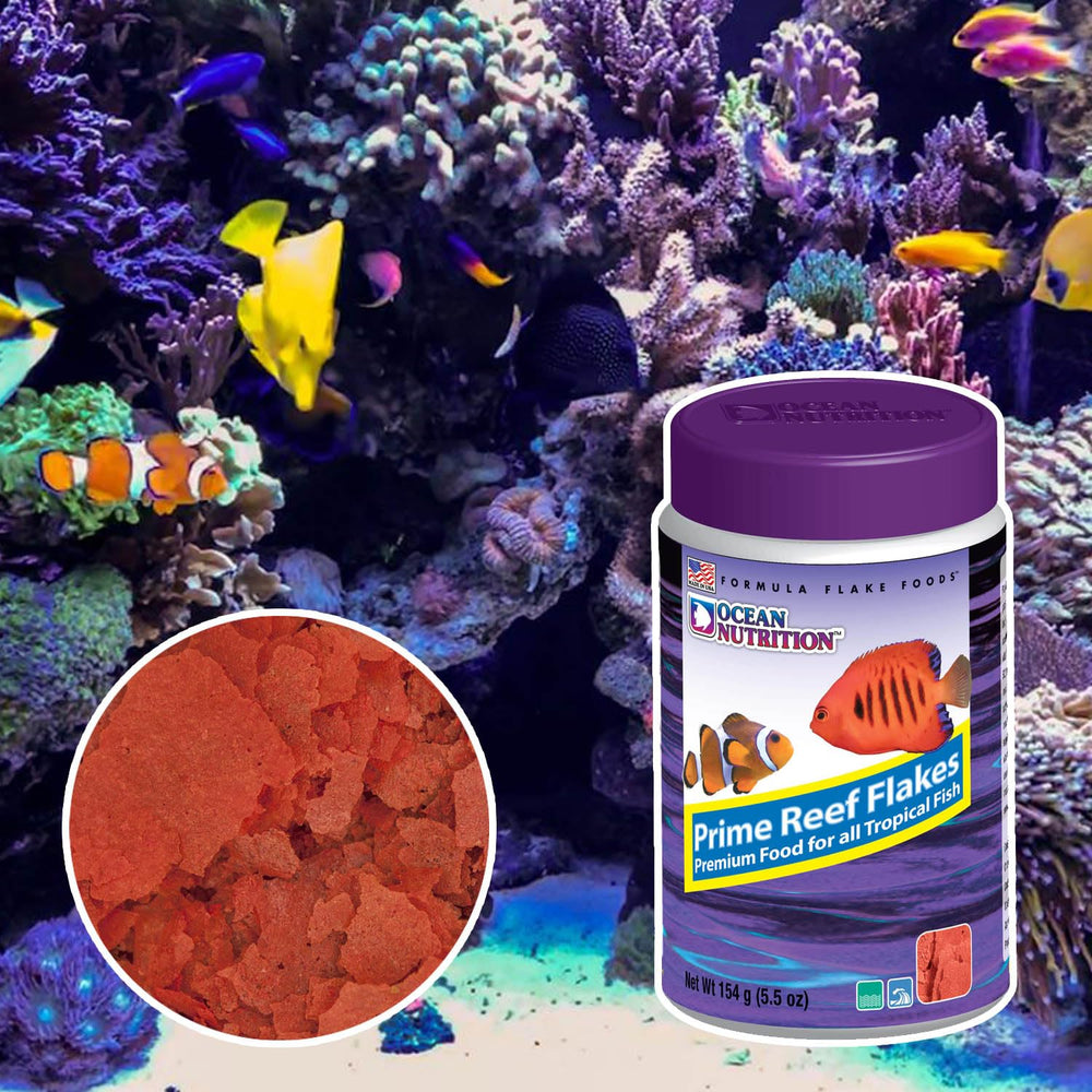 Ocean Nutrition gros plan sur les flocons montrant texture et appétence naturelle bénéfice nutrition