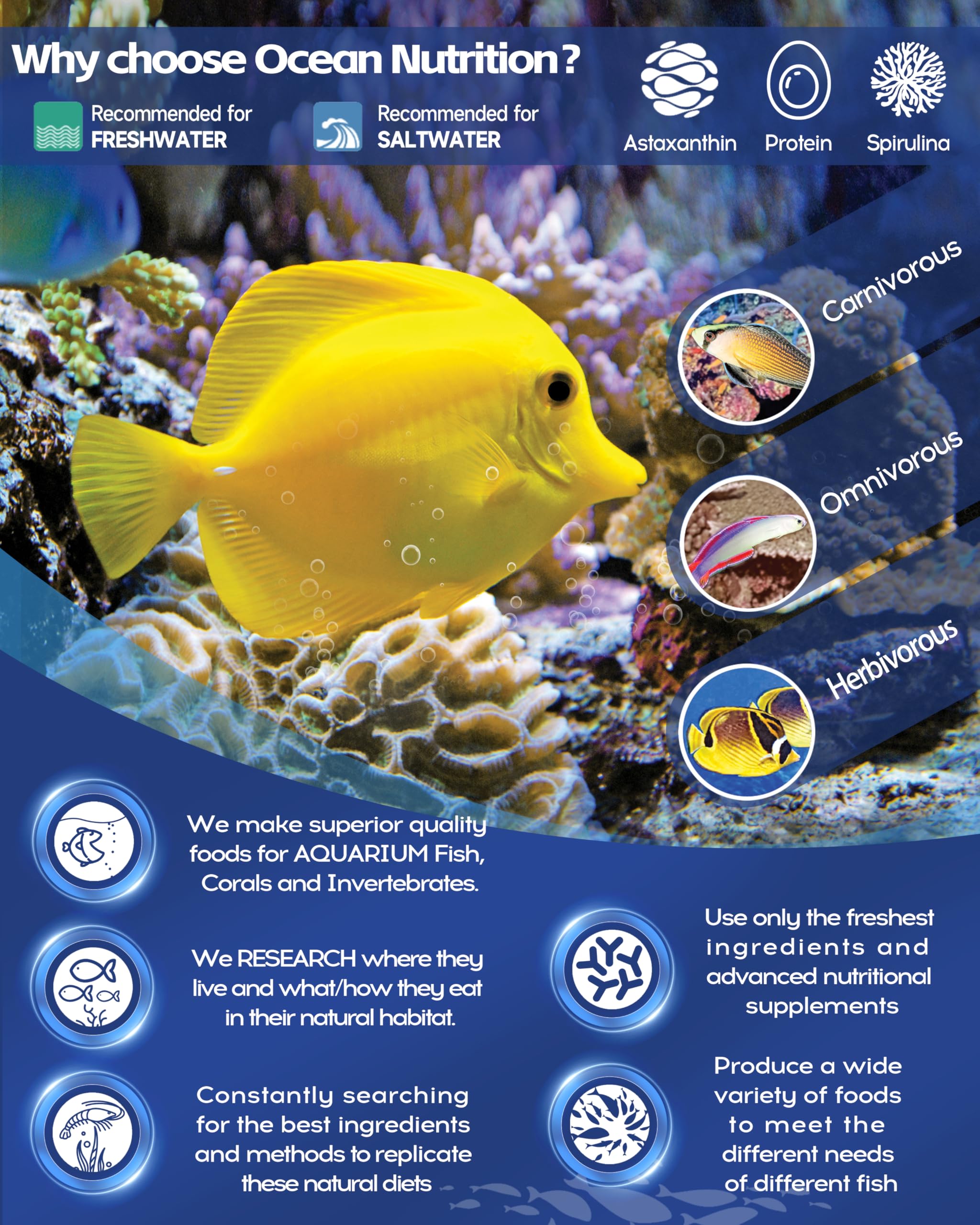 Ocean Nutrition aquarium en situation réelle montrant poissons colorés et eau claire