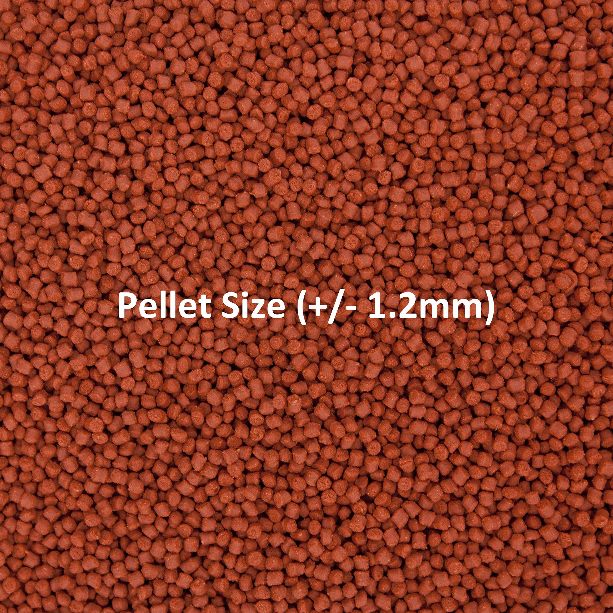 Ocean Nutrition granulés à l'échelle pour petite taille adaptée
