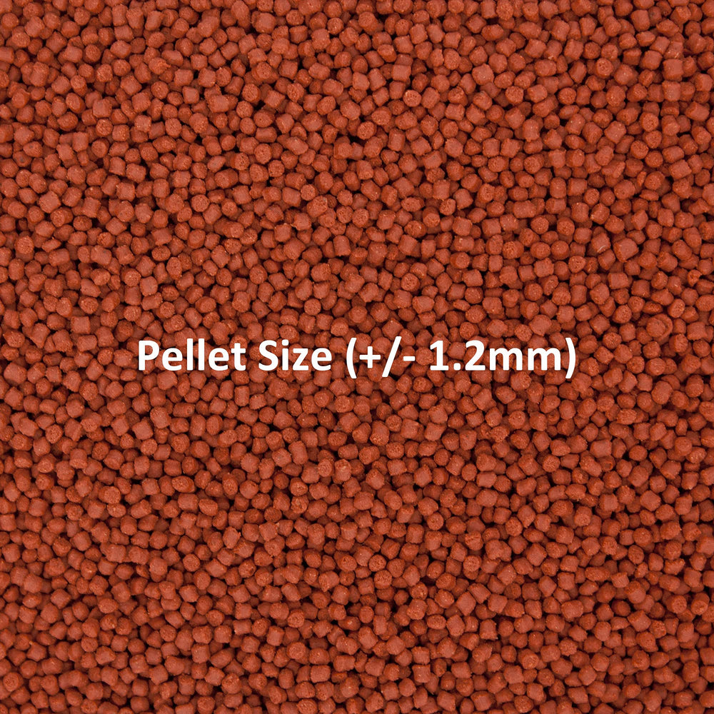 Ocean Nutrition granulés à l'échelle pour petite taille adaptée