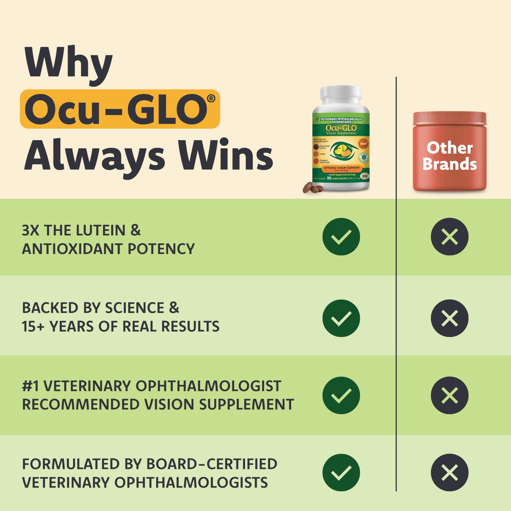 Ocu-GLO vétérinaire tenant une boîte montrant recommandation par spécialiste animalier