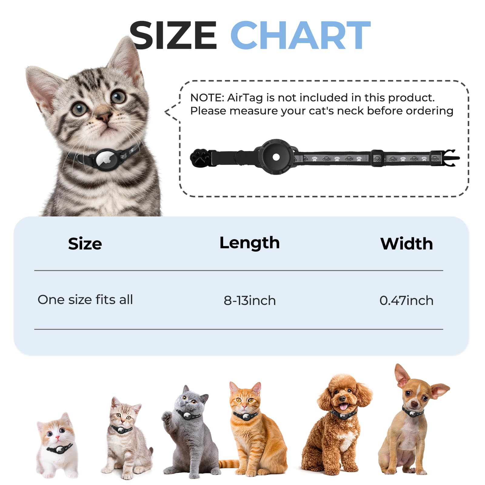 Chat portant le collier Odokele en extérieur indiquant confort et maintien sûr