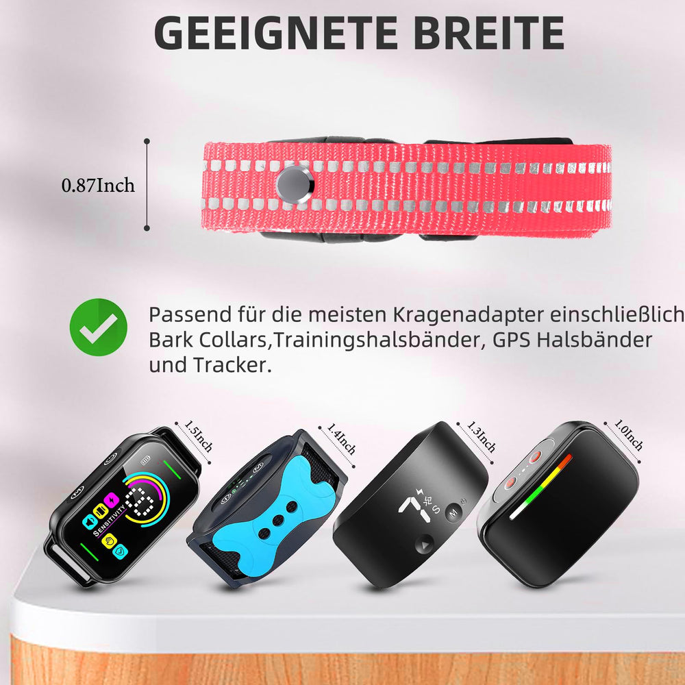 Sangle Odokele installée avec récepteur illustrant fixation sécurisée