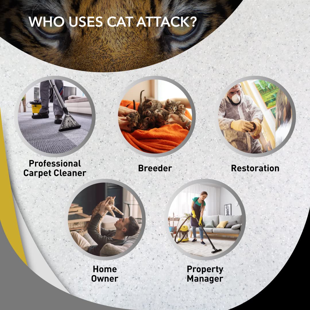 Application Odorcide sur tapis éliminant odeurs incrustées efficacement