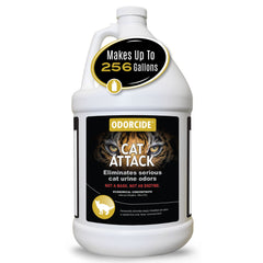 Odorcide bouteille face montrant emballage et usage professionnel
