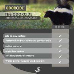 Résultat avant-après sur tapis traité avec Odorcide Skunk Off pour odeur supprimée