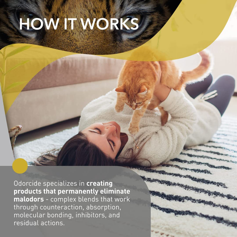 Pulvérisation Odorcide sur canapé tissu neutralisant odeurs de chat
