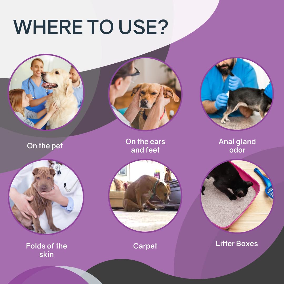Odorcide lingette utilisée sur un chat pour un rafraîchissement sans eau