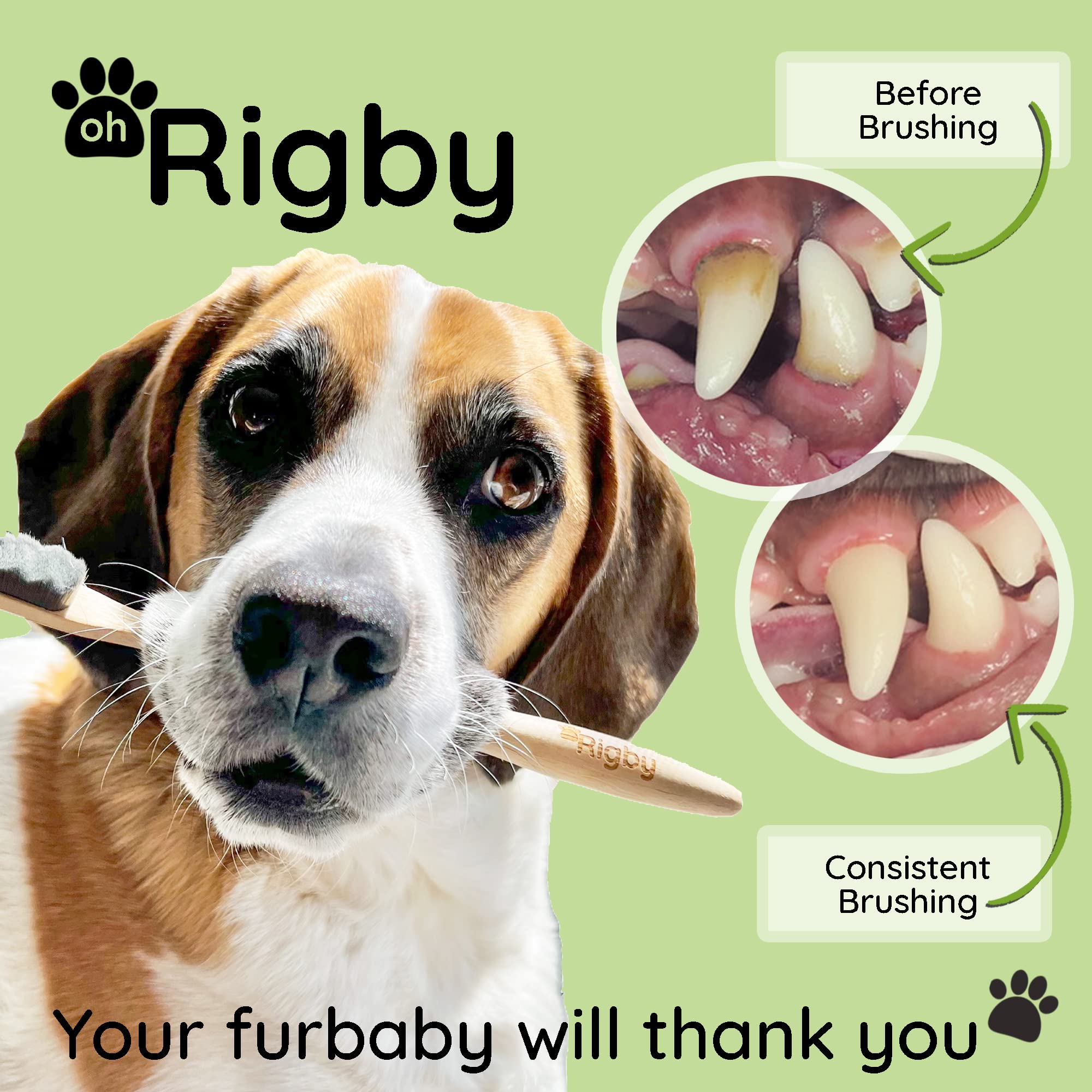 OH RIGBY brosse en usage main nettoyant les dents pour meilleur confort
