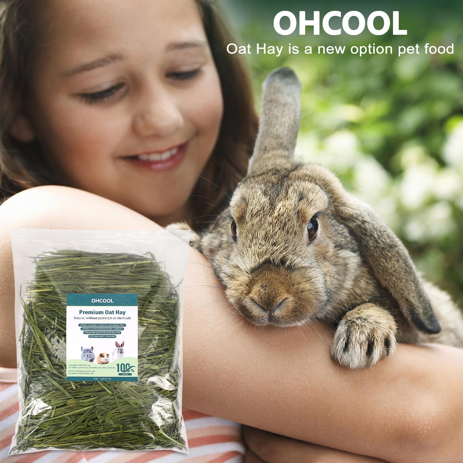 Ohcool foin dans enclos engageant pour enrichissement animal