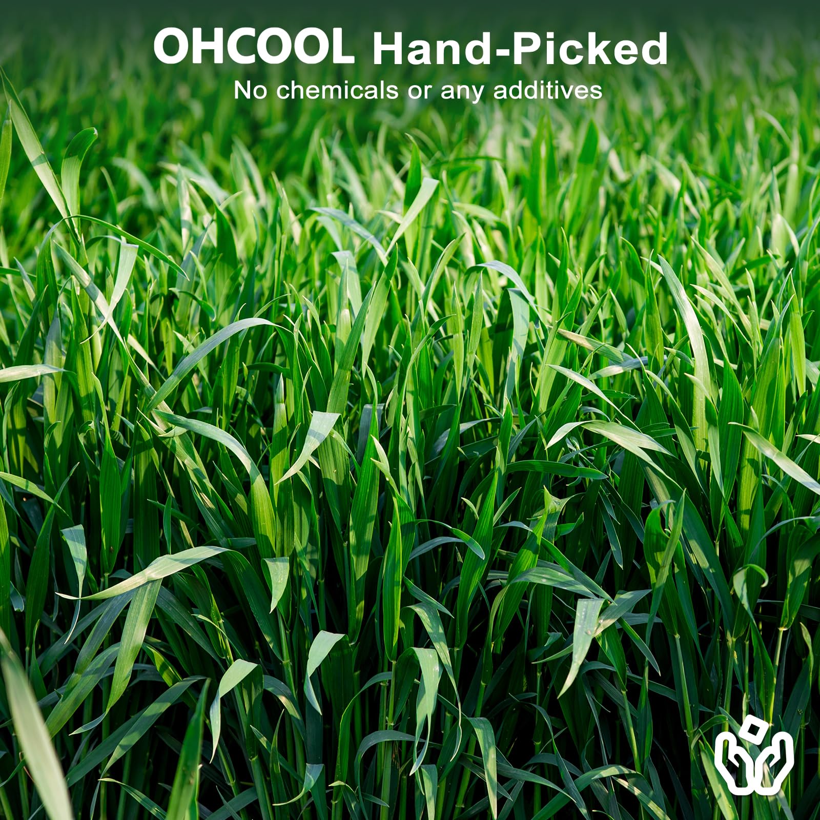 Ohcool étiquette produit détaillant origine et composition