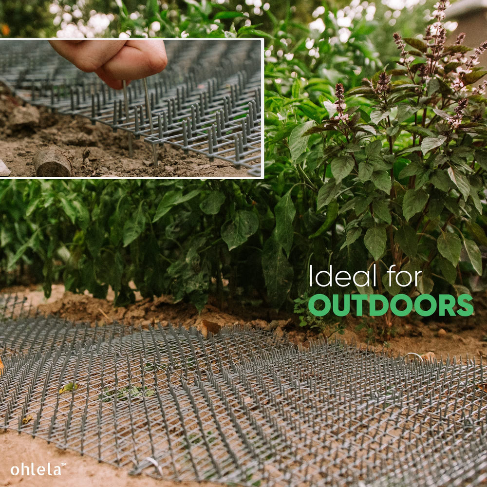 ohlela côte à côte avec règle indique dimensions précises du tapis
