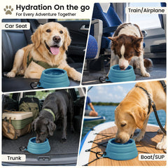 OHMO bol en usage avec chien montrant facilité d'hydratation en extérieur