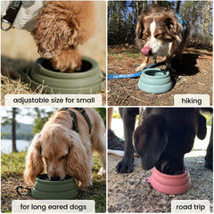 OHMO gamelle en usage sur sentier offrant hydratation stable au chien
