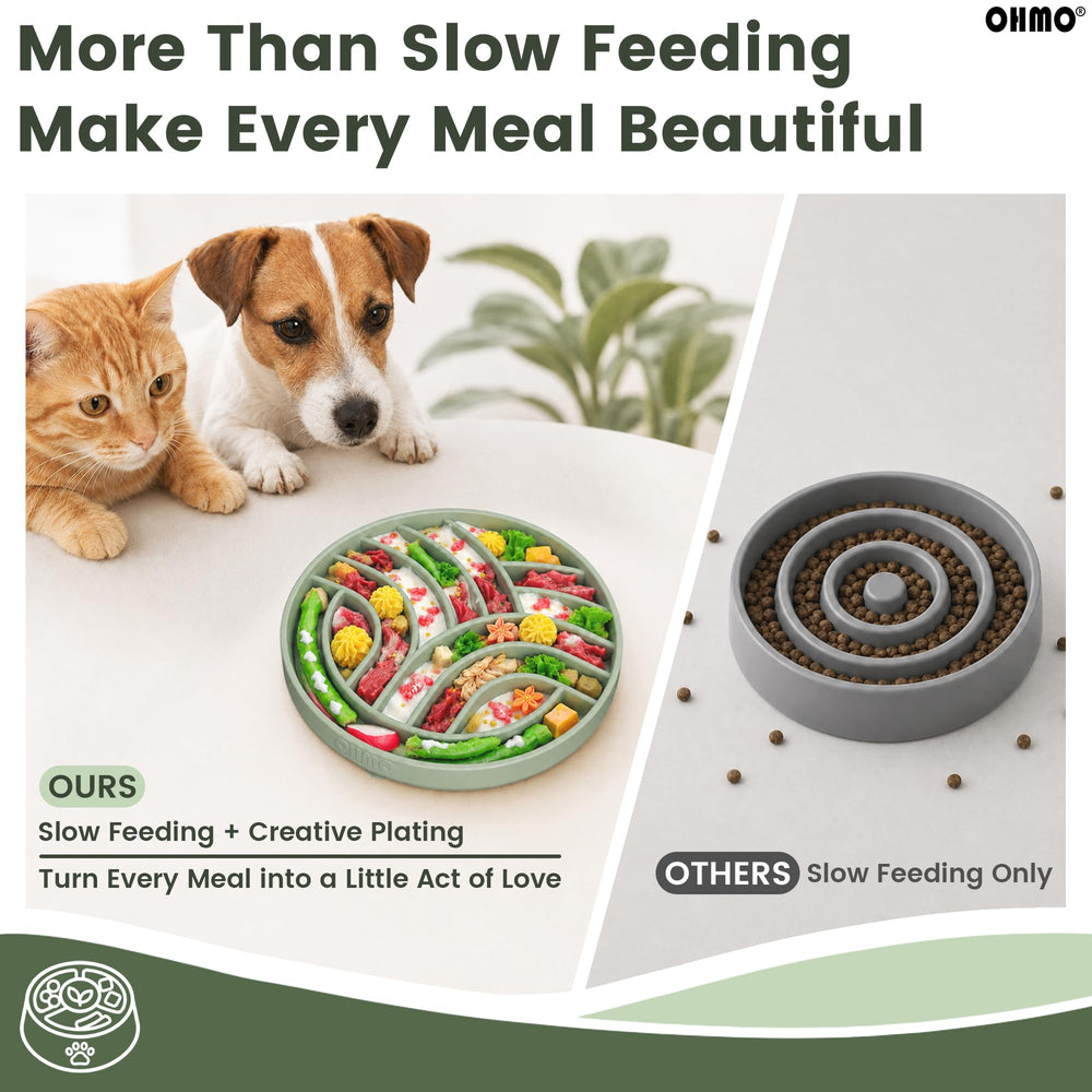 Scène de cuisine avec gamelle OHMO sur le sol, intégration esthétique et usage quotidien