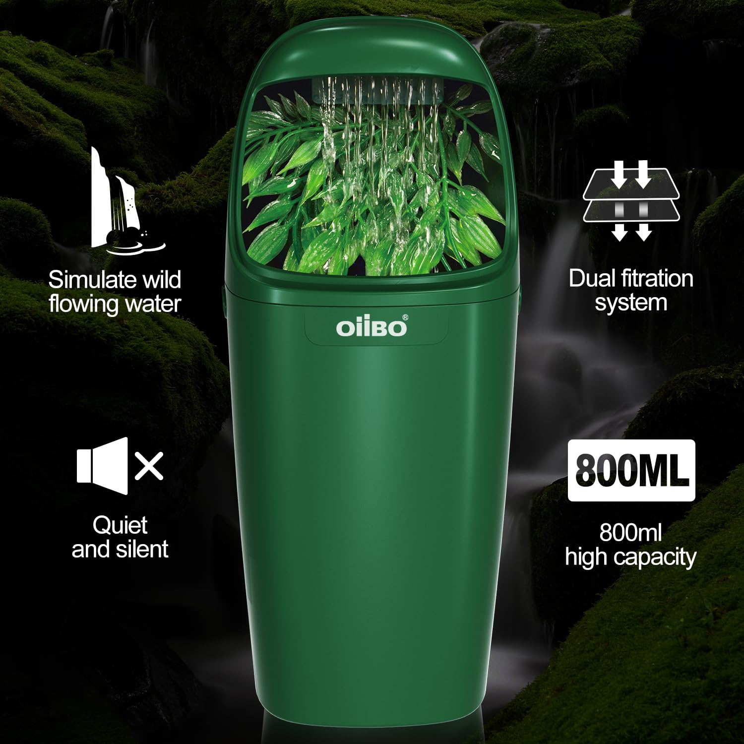 OIIBO installé avec dragon barbu montrant adoption et hydratation