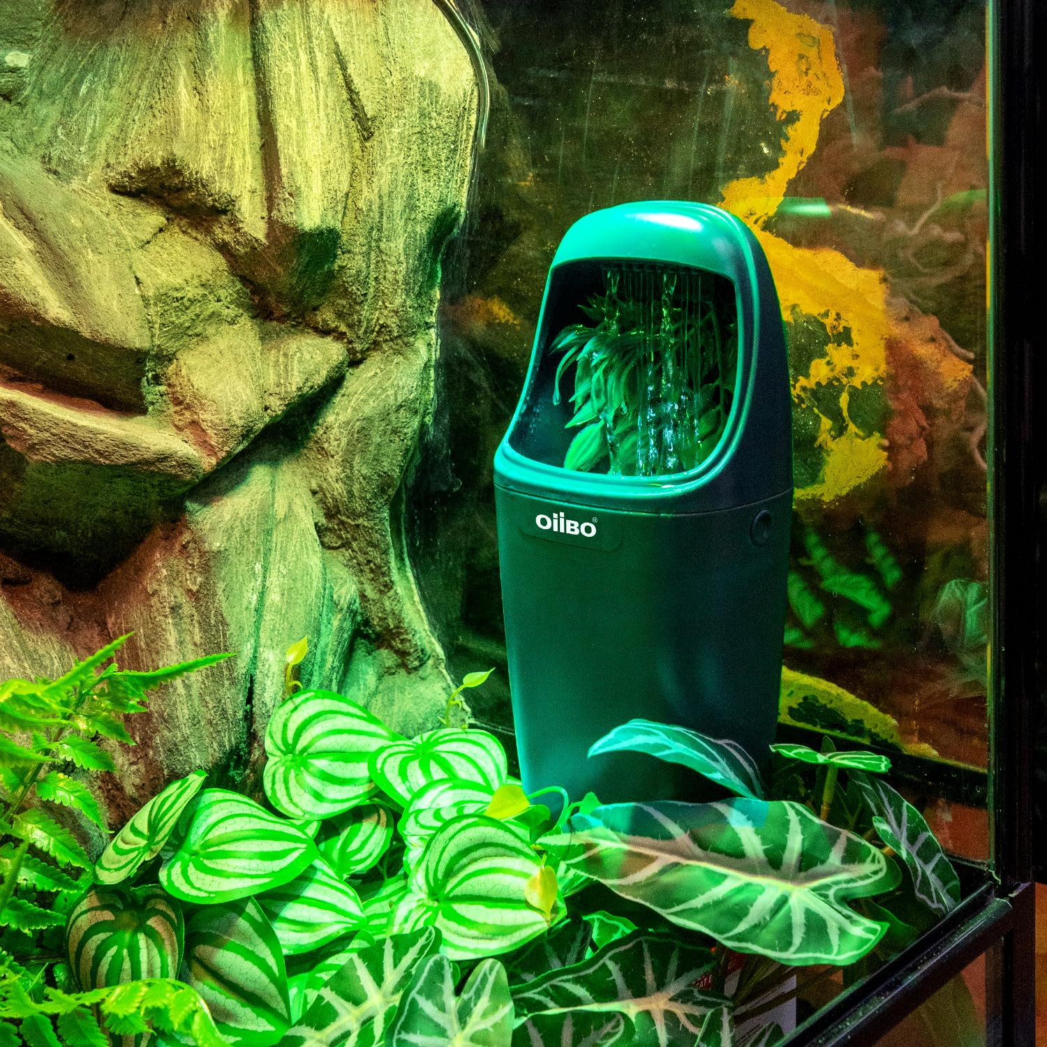 OIIBO intégrée au décor du terrarium créant humidité et aspect naturel