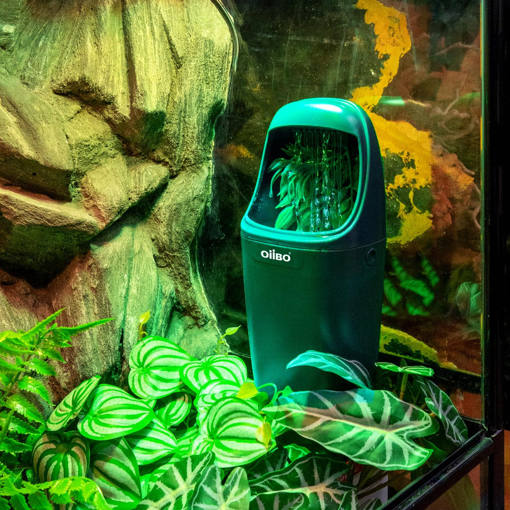 OIIBO intégrée au décor du terrarium créant humidité et aspect naturel