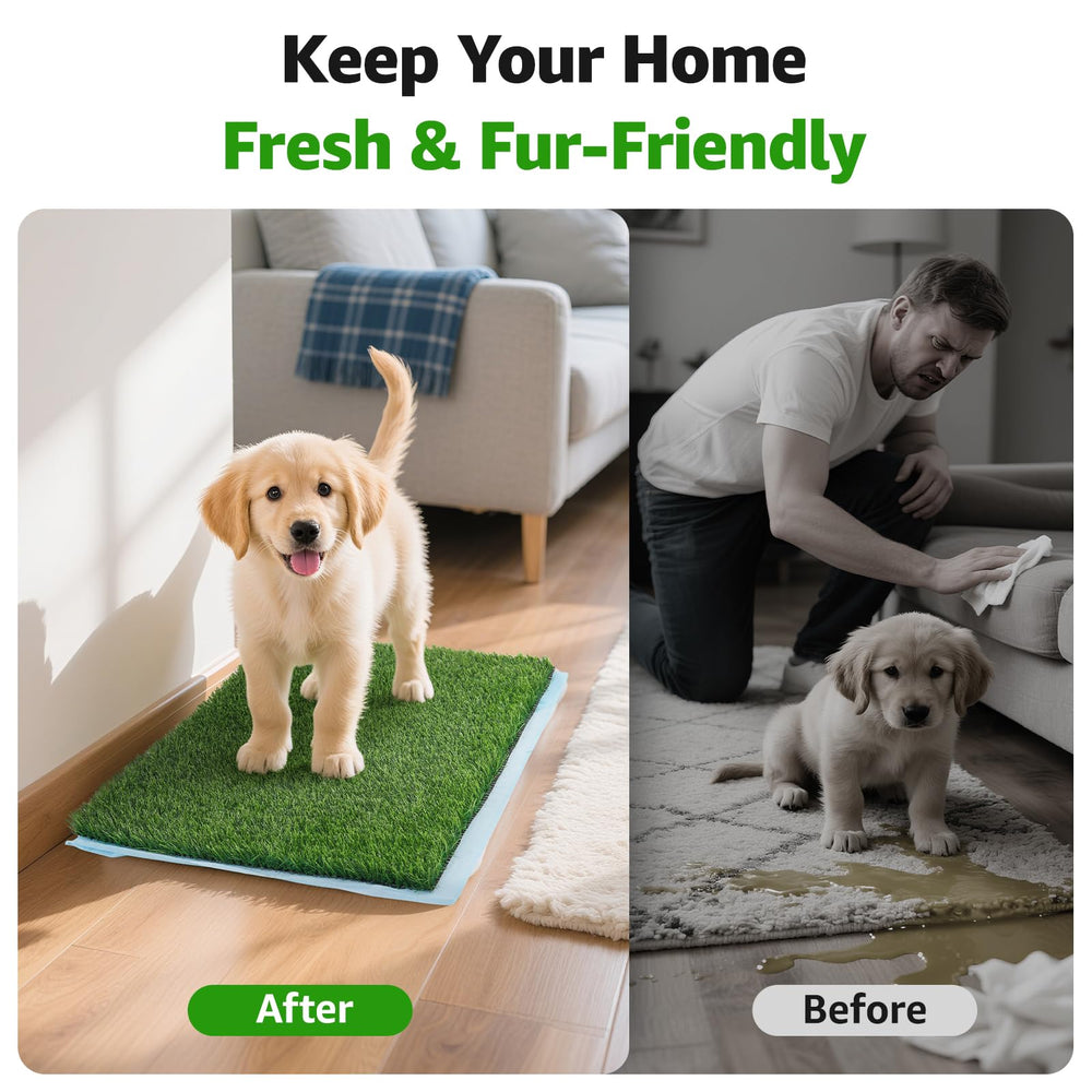 Oiyeefo tapis sur plateau avec chiot utilisant confort et apprentissage