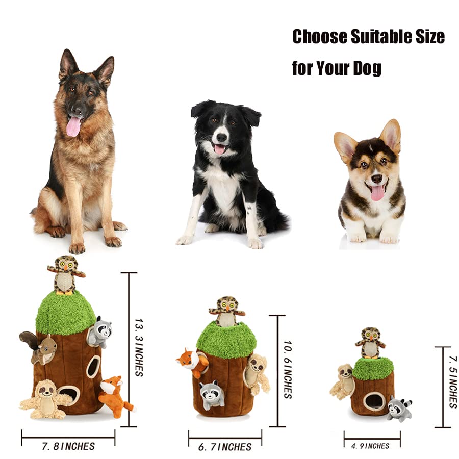 okegztoa échelle taille comparaison montre dimensions adaptées grands chiens