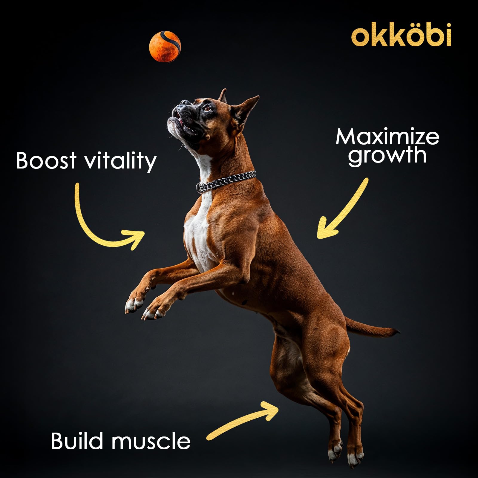 OKKÖBI chews dans un bol au moment du repas, encourage prise régulière