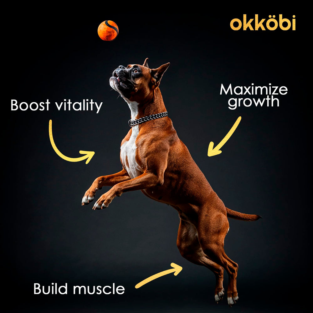 OKKÖBI chews dans un bol au moment du repas, encourage prise régulière