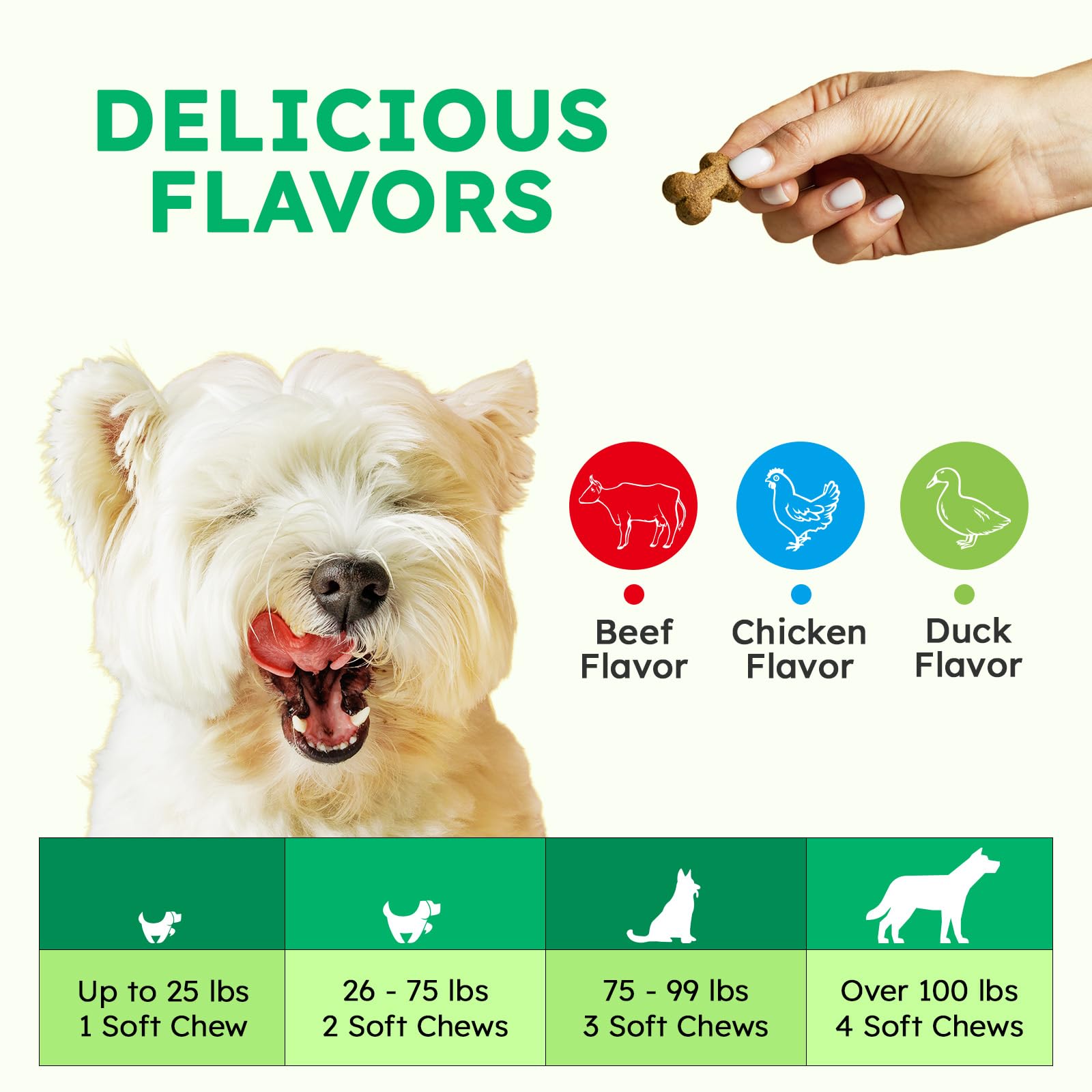 OKKÖBI chien acceptant la friandise, illustrant appétence et usage quotidien