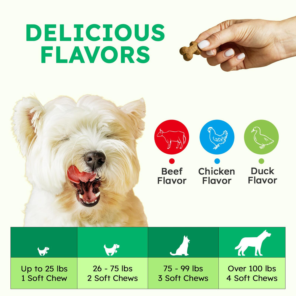 OKKÖBI chien acceptant la friandise, illustrant appétence et usage quotidien