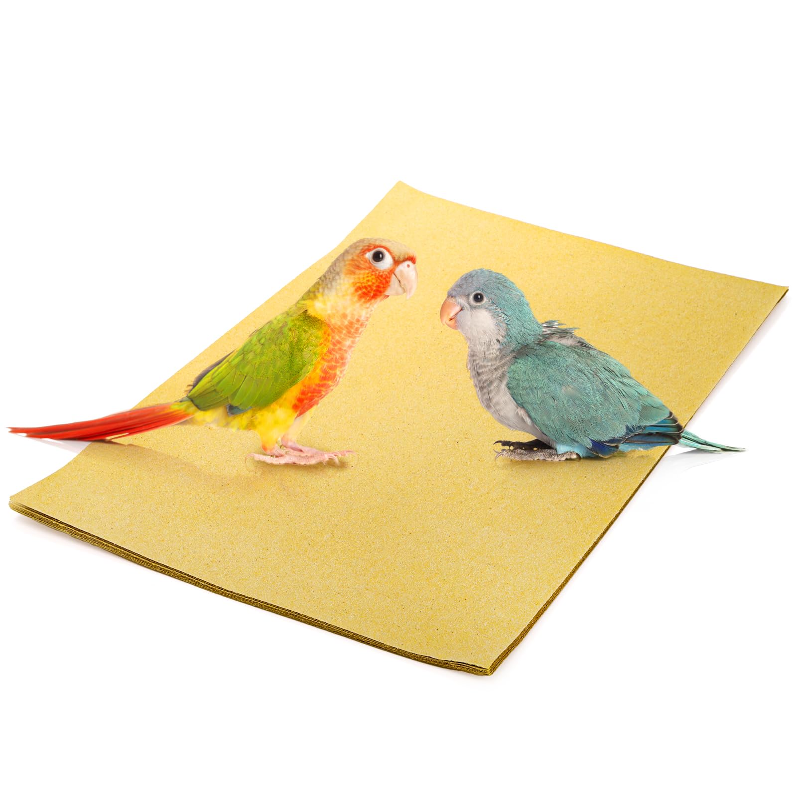 Okllen règle et feuille 11x17 pouces pour comparaison de taille précise