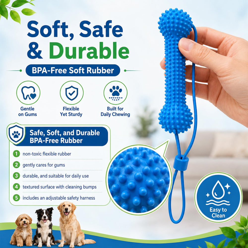 OKNIAO comparaison taille avec main pour dimension et adaptabilité aux chiens