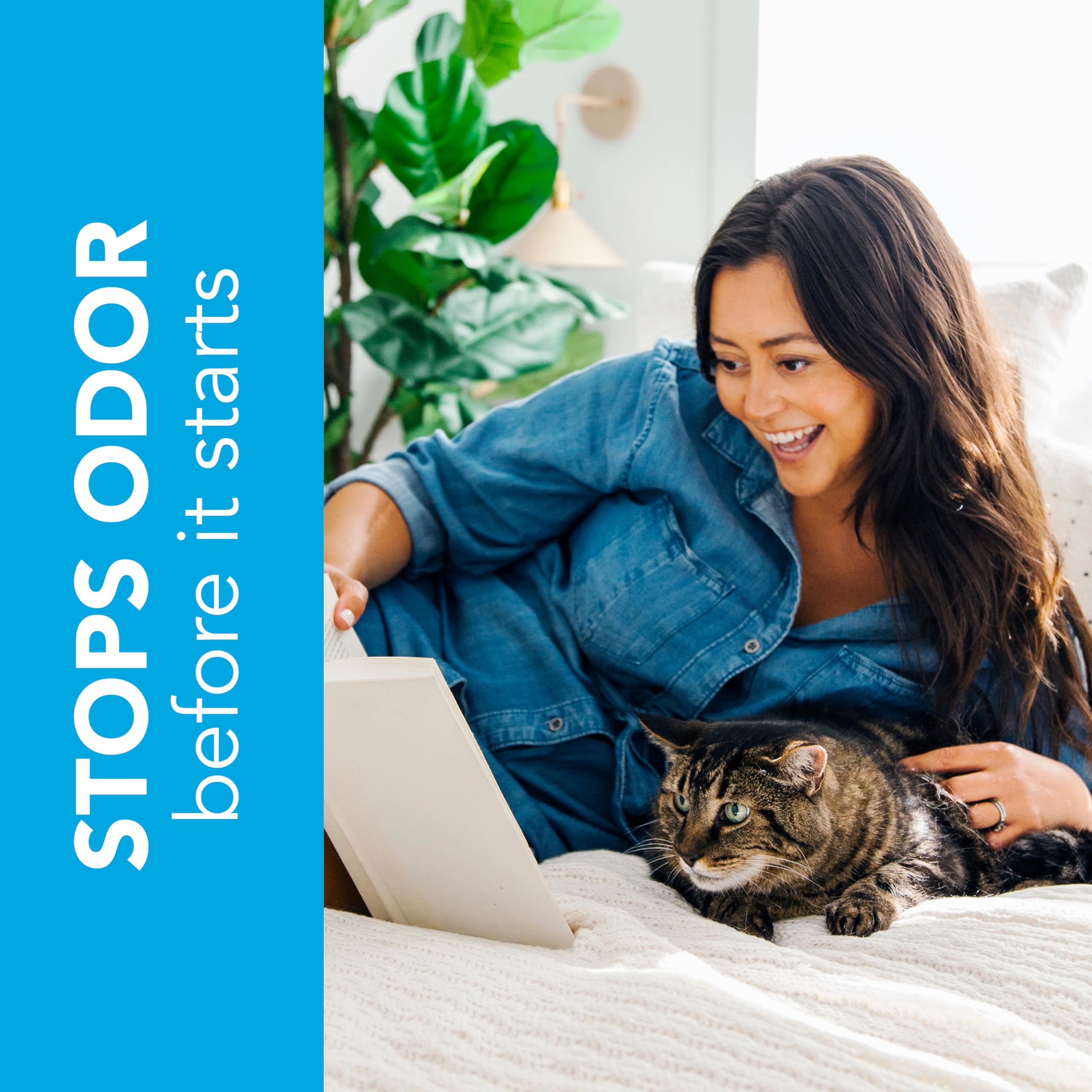 ÖKOCAT agglomérats solides après usage, nettoyage et ramassage facilités
