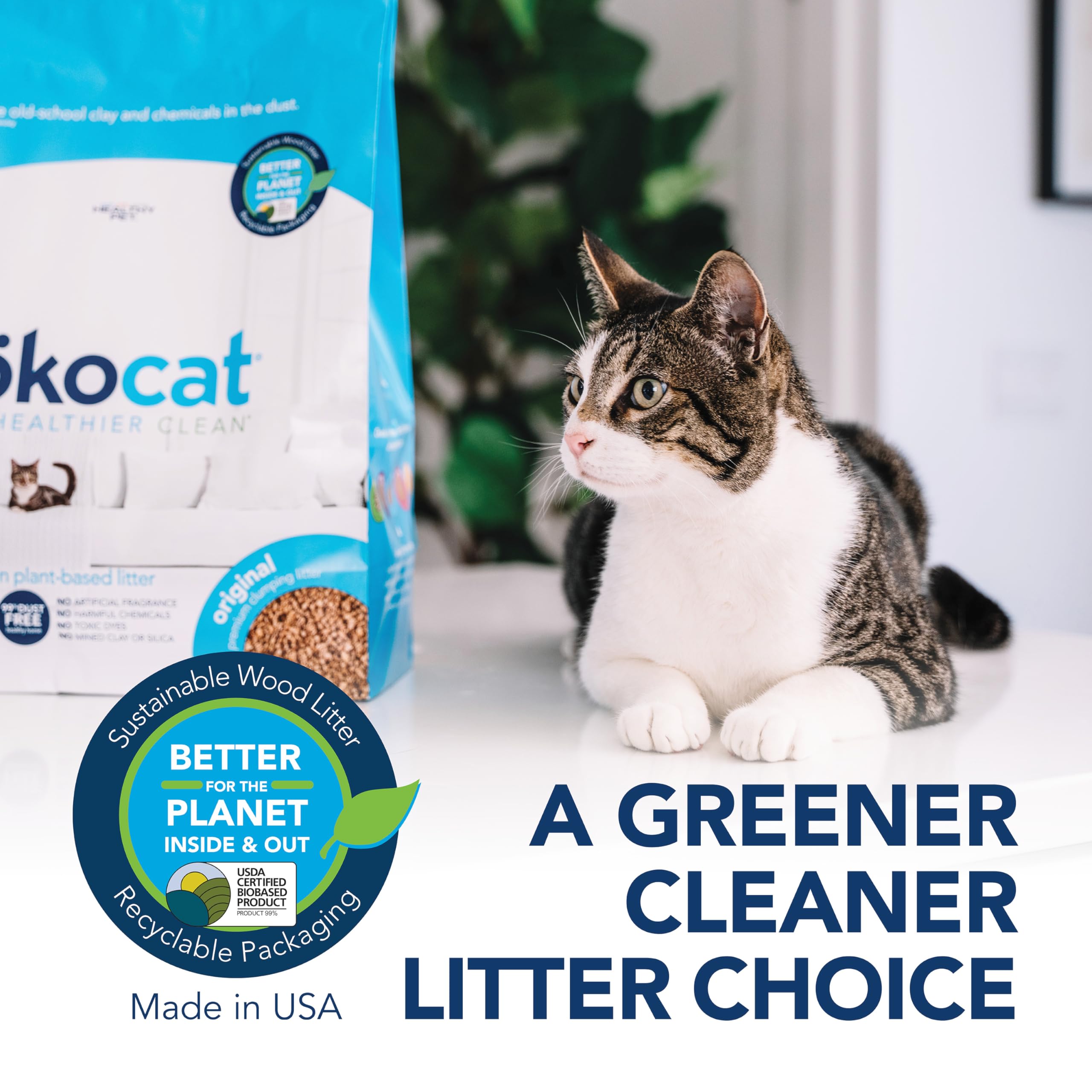 ÖKOCAT scène salon avec bac à litière discret, intègre bien l'intérieur