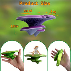 Okueejur comparaison taille avec main, montre échelle et approprié pour petits reptiles
