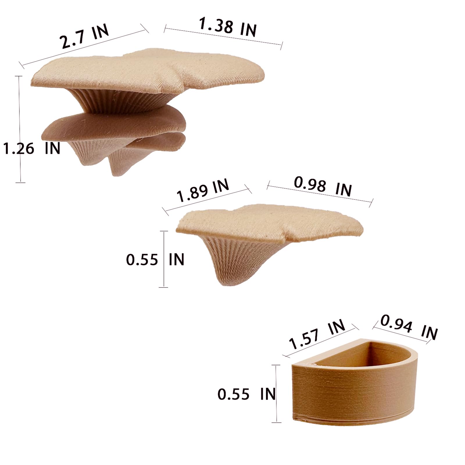 Okueejur comparaison taille avec piece montrant dimensions pratiques