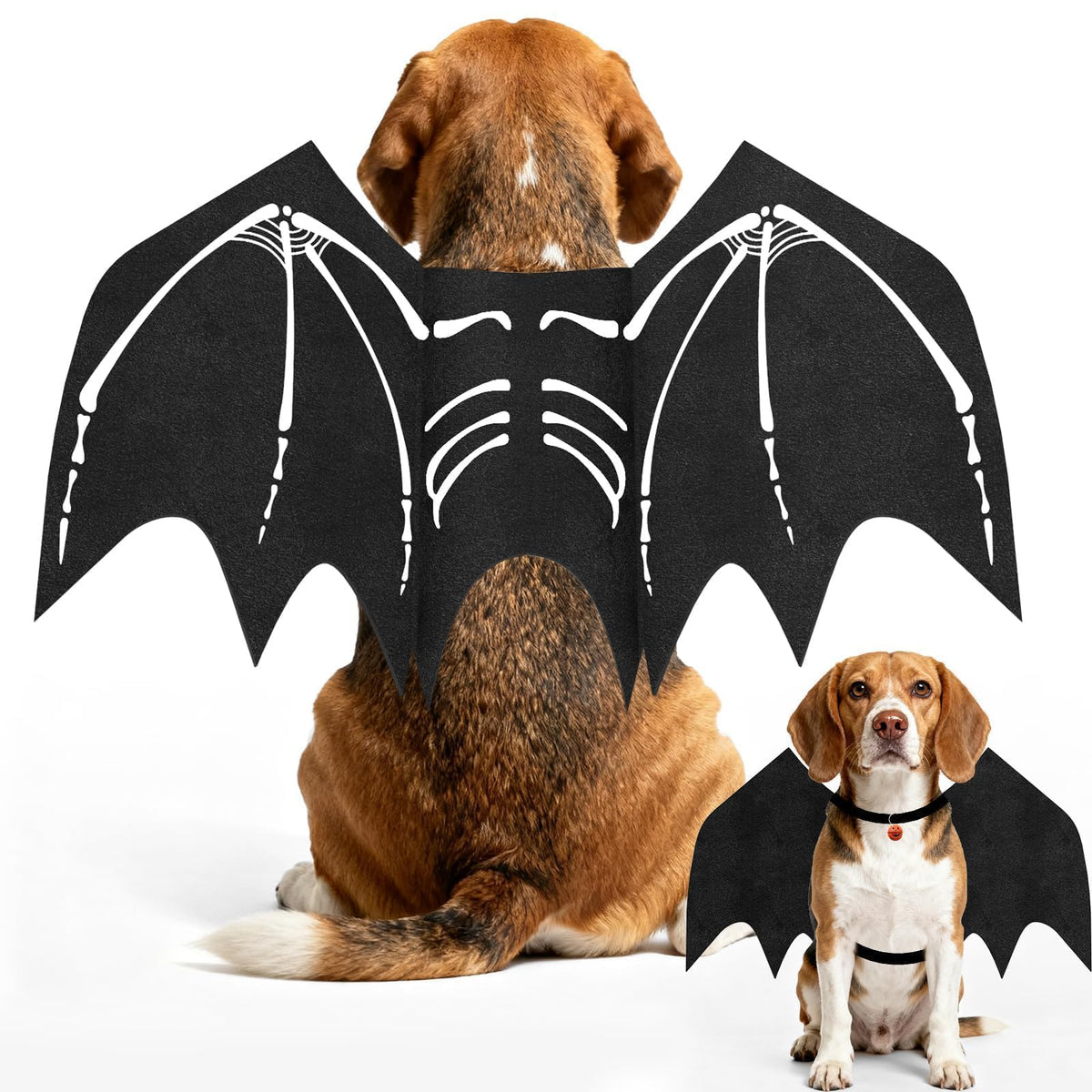 OLANRUN costume ailes chauve‑souris vue de face montrant tenue complète et maintien