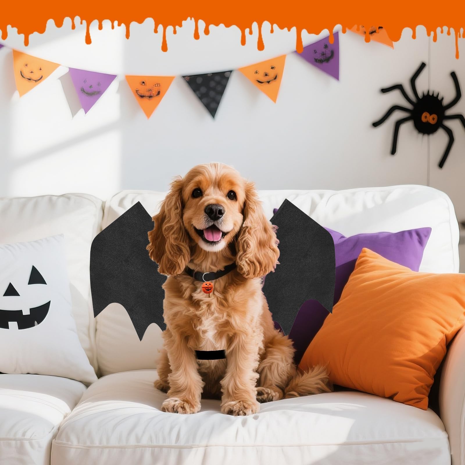 OLANRUN ambiance fête Halloween chien déguisé prêt pour parade