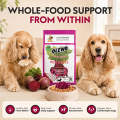 Olewo poudre ajoutée au bol pour chien pour une alimentation enrichie