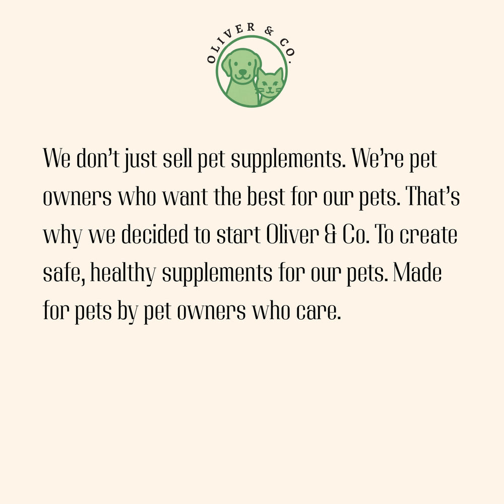 Oliver & Co. chien et chat approuvant la saveur poulet, encourage la prise alimentaire