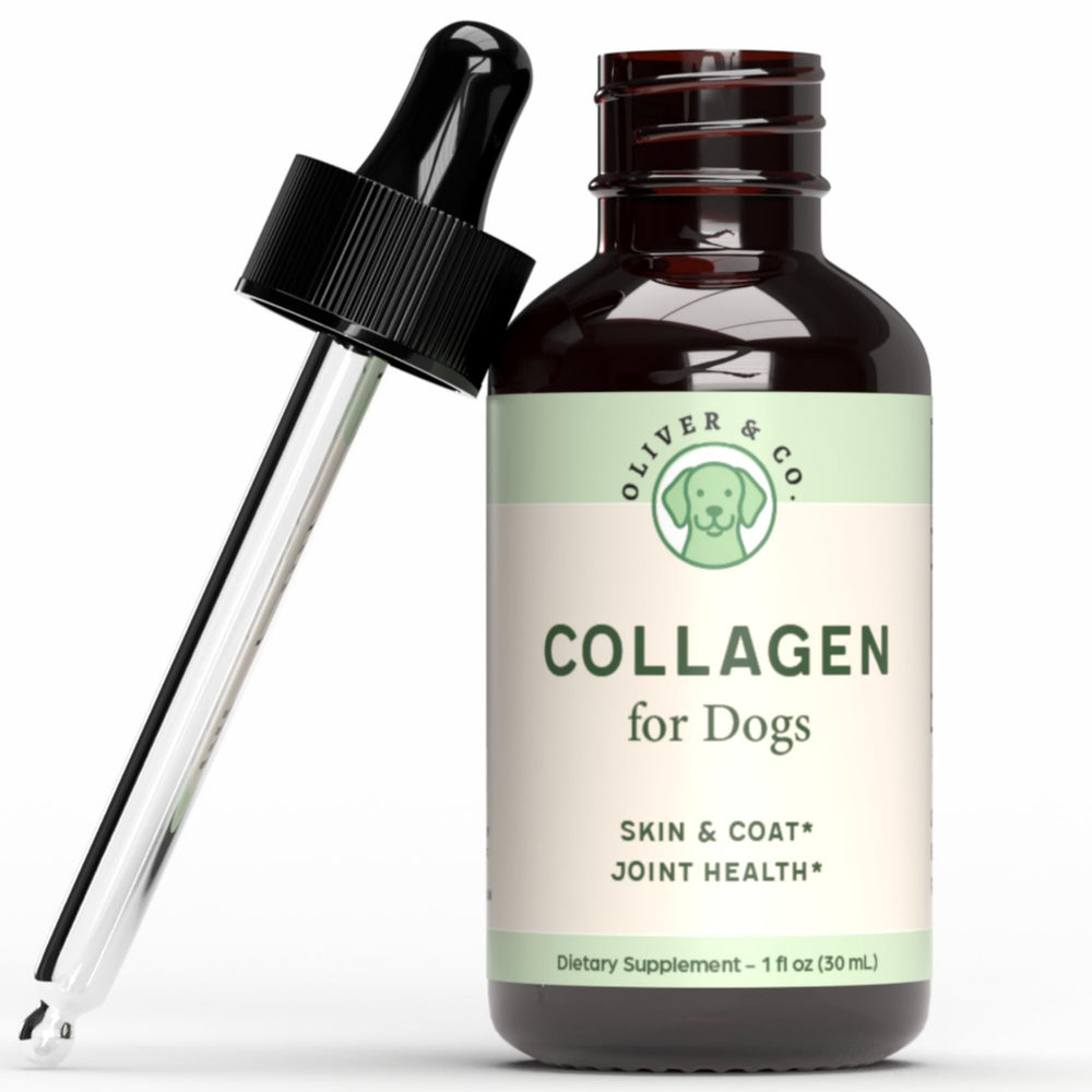 Oliver & Co. flacon Collagen for Dogs avant-plan et bénéfice dosage pratique