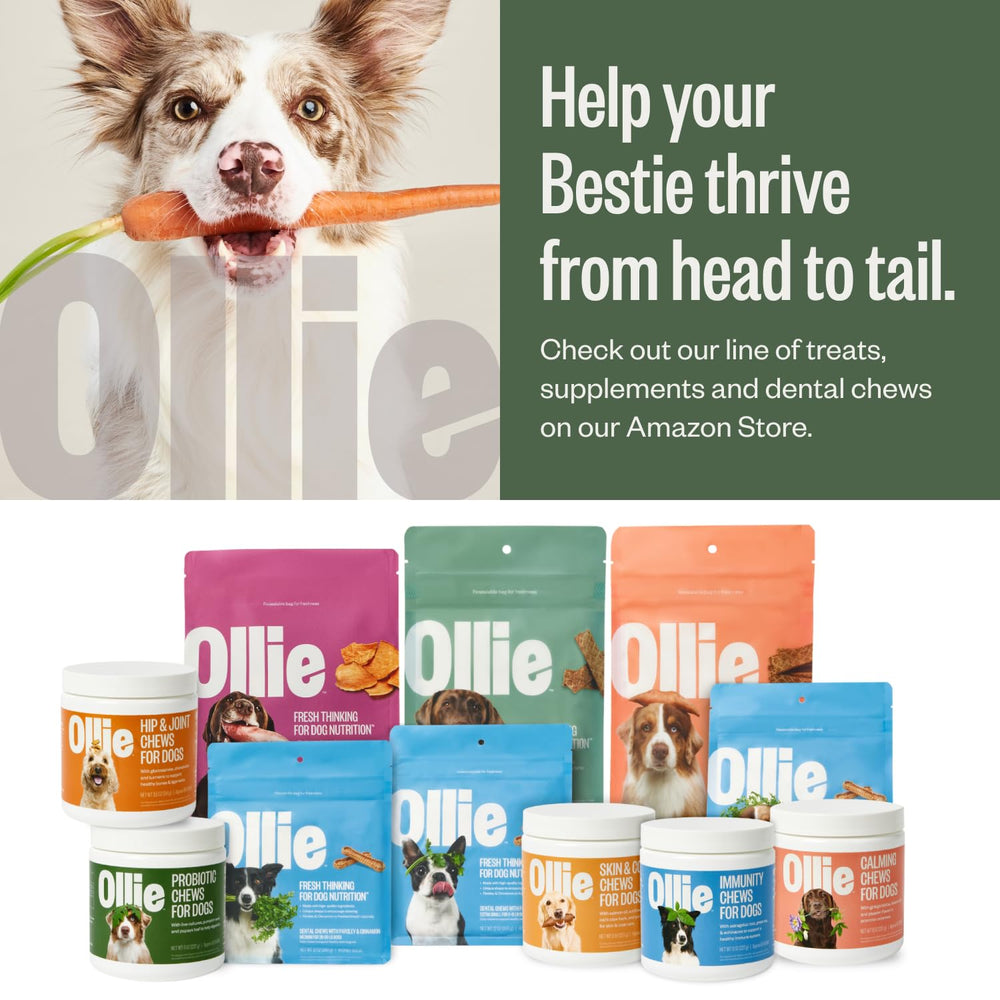 Propriétaire donnant Ollie Belly Rubs au chien, favorise confort digestif