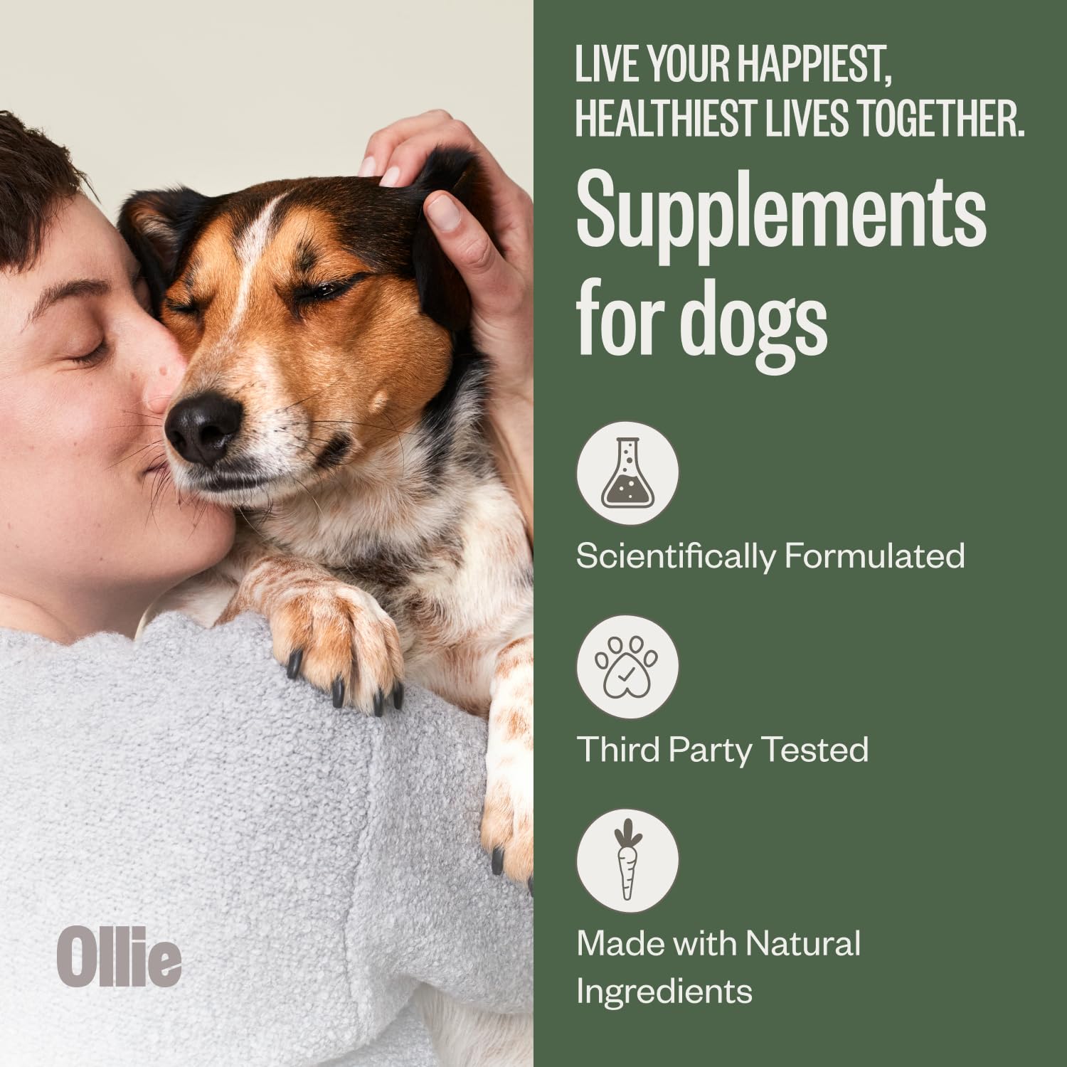 Gros plan de la texture d'une mâchée Ollie Belly Rubs montrant texture appétente