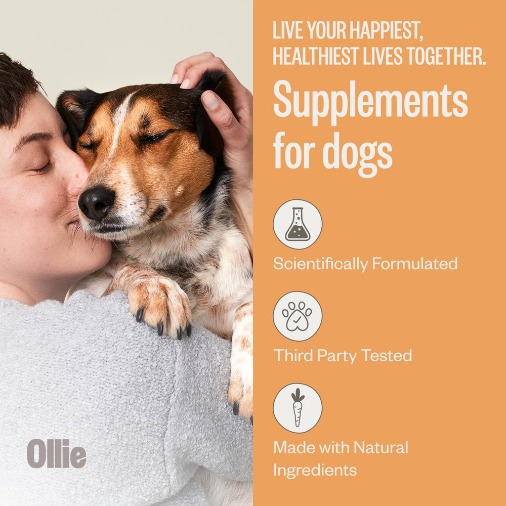 Gros plan sur un comprimé Ollie montrant texture et apparence naturelle