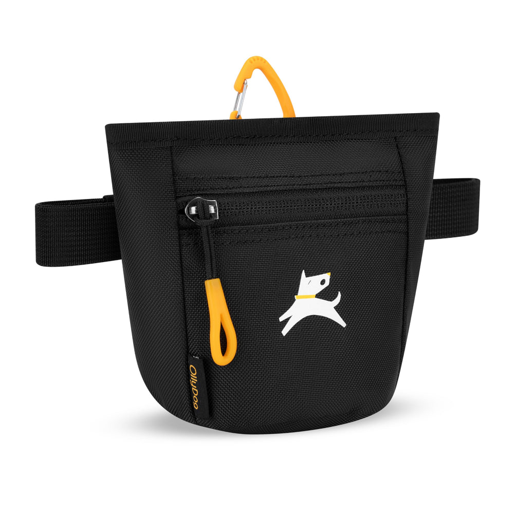 OllyDog accroché à une laisse pour accès simple lors de promenades