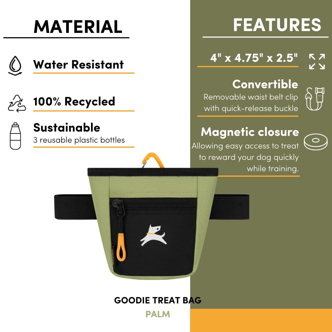 OllyDog en séance d'entraînement illustrant réactivité et confort