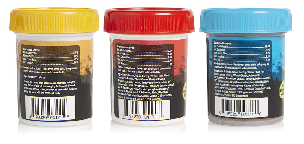 Omega One betta mangeant dans l'aquarium, favorise vitalité et couleur