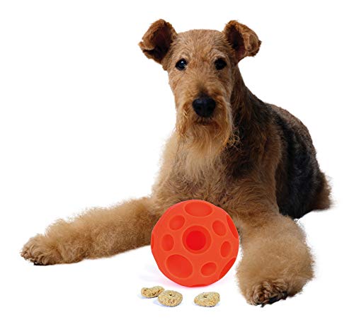 PAW PRINT Omega Paw étiquette produit lisible garantissant authenticité