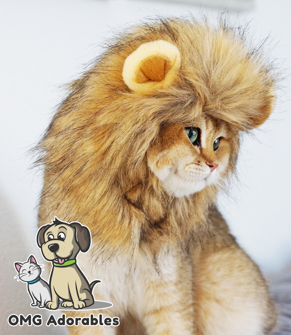 OMG Adorables crinière emballage, produit livré prêt à offrir