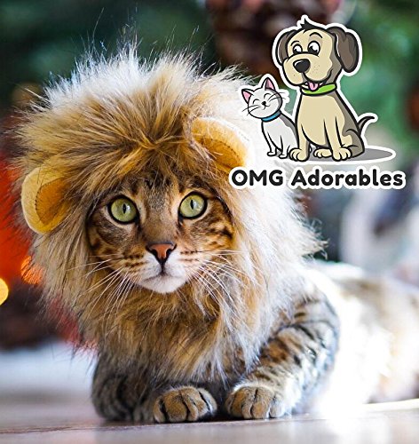 OMG Adorables crinière comparaison échelle, taille adaptée petits animaux