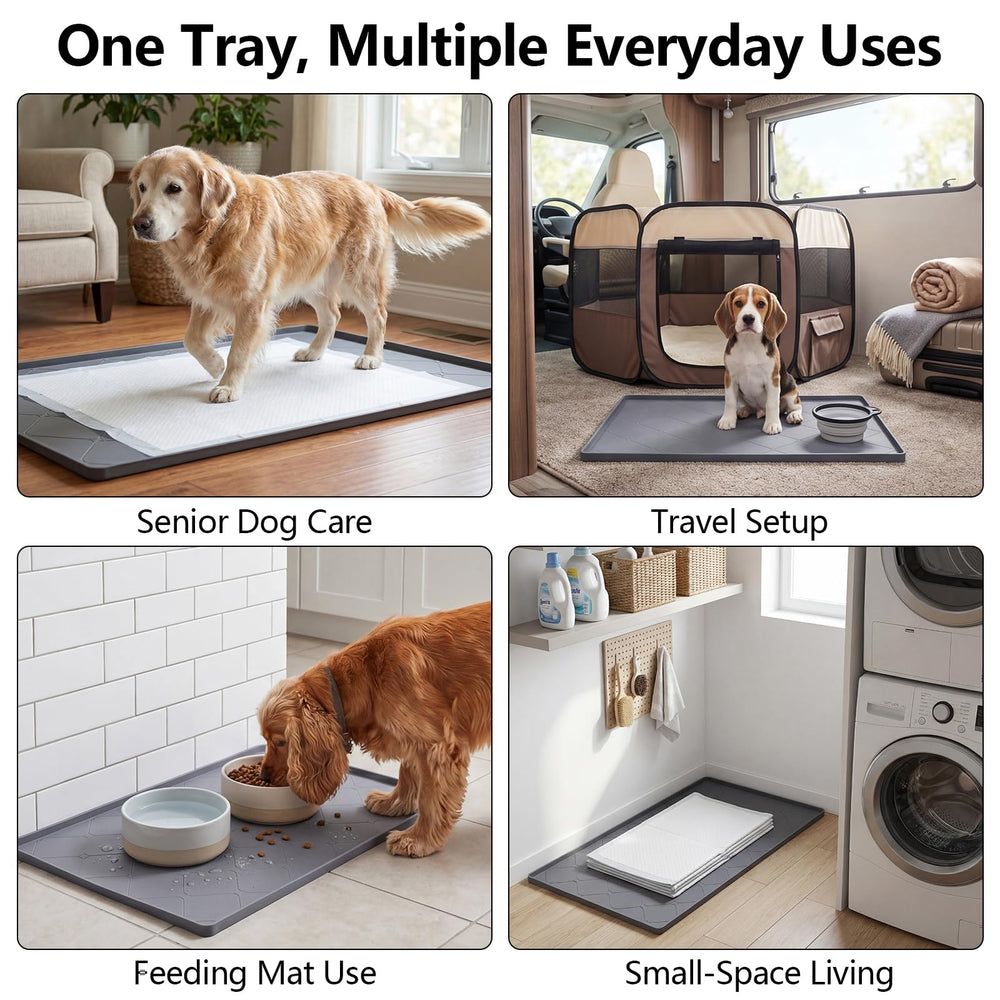 ondware chien utilisant le bac montrant confort et maintien du tapis